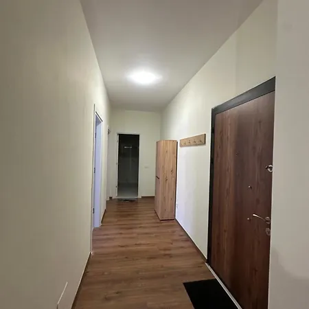 Elton Gjana Patza-Kuqani